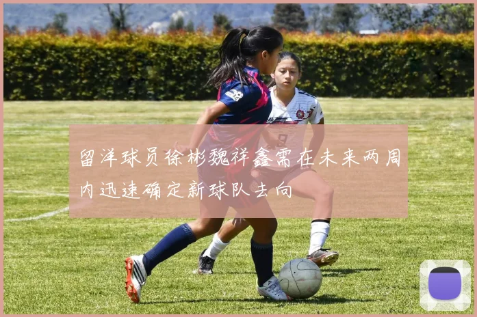 留洋球员徐彬魏祥鑫需在未来两周内迅速确定新球队去向