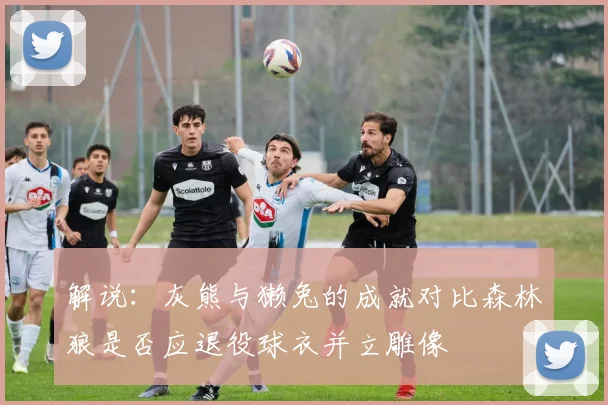 解说：灰熊与獭兔的成就对比森林狼是否应退役球衣并立雕像