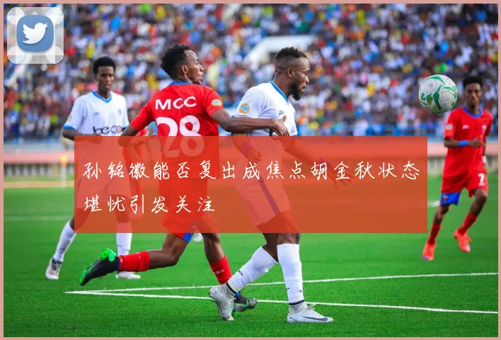 孙铭徽能否复出成焦点胡金秋状态堪忧引发关注