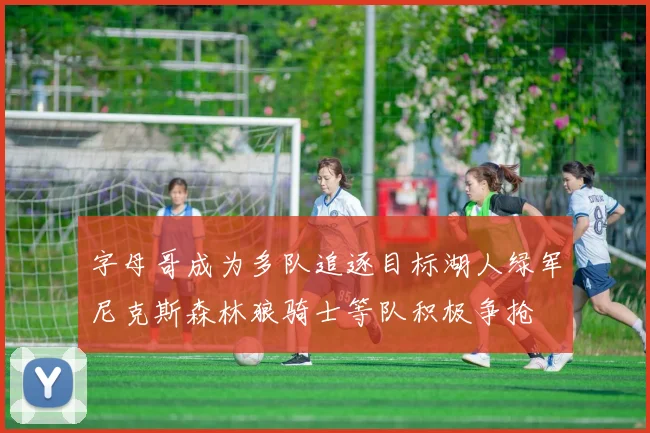 字母哥成为多队追逐目标湖人绿军尼克斯森林狼骑士等队积极争抢